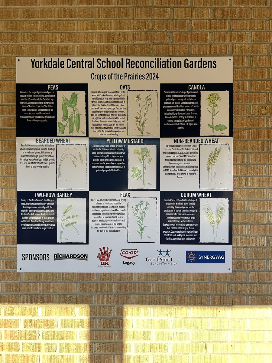 A beautiful morning <a href="/PrideInThePaw/">YorkdaleCentral</a> soaking up the sun while reading a good book in our Reconciliation gardens! 📖🌞