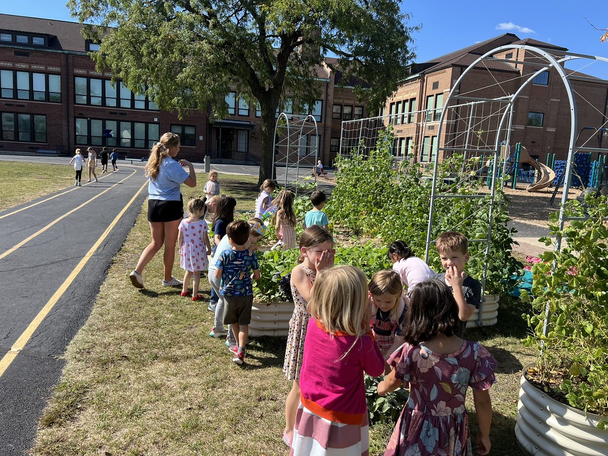 Paula Houmpavlis tweet media