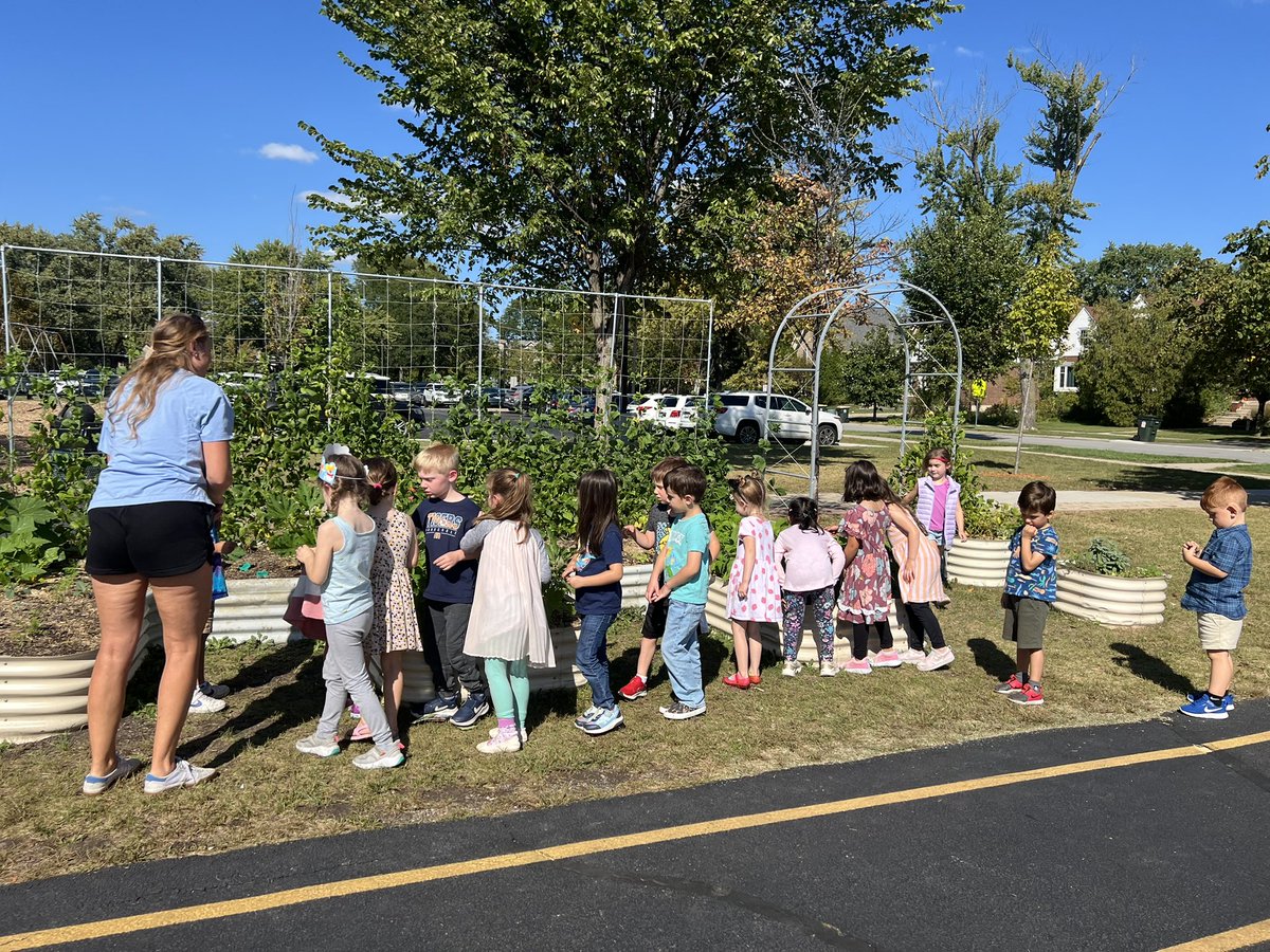 Paula Houmpavlis tweet media