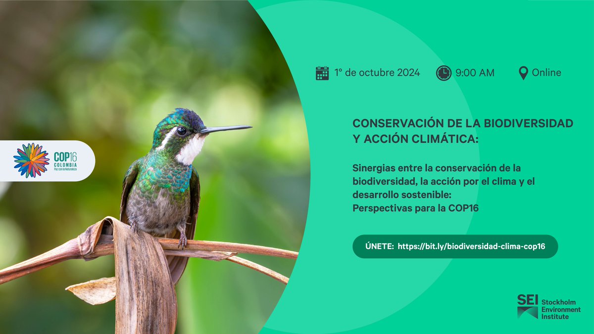 SEIenEspanol's tweet photo. ¿Cómo lograr una conexión efectiva entre las acciones para enfrentar el #CambioClimático y la pérdida #biodiversidad en la #COP16?

Descúbrelo en este #webinar junto a expertos de SEI, @OTCAnews, @IICAnoticias, @el_BID y @MinAmbienteCo.

Regístrate 👉https://t.co/LvaZo5qvTx https://t.co/dR2jyBX7xu