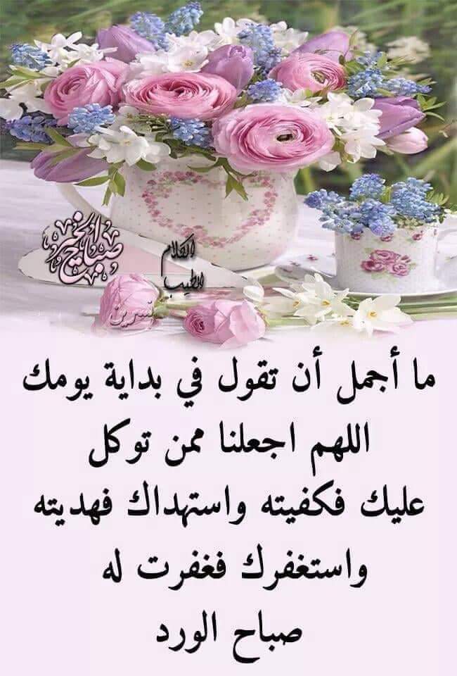 اللهم أنت القريب 
 وأنت الصاحب والحبيب وأنت الوحيد المجيب  وأنت الشافي الطبيب وأنت الذي تعلم ما نريد..
اللهم ارحم ضعفنا وآمن روعاتنا .. وأسعد قلوبنا وفرج همومنا واصرف عنا ما يقلقنا ويعكر صفونا وارزقنا صبراً جميلا..
اللهم إنا نسألك صباح يملأ الأجساد عافية والروح فرحاً