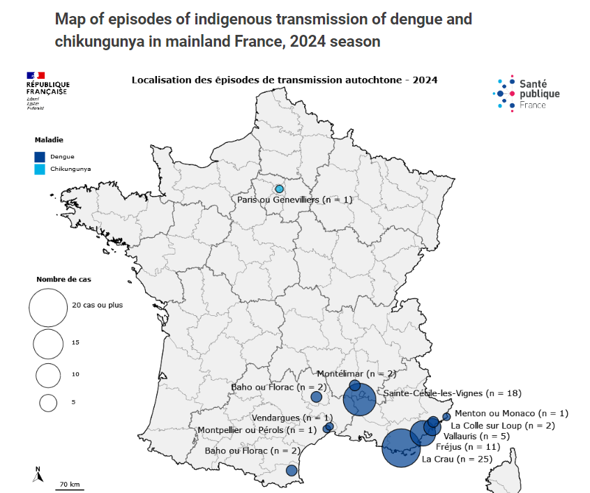 bactiman63's tweet photo. #France autochthonous #dengue cases rise to 68 https://t.co/PADTZh7HWx