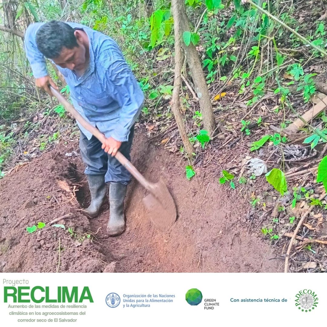 padecomsm's tweet photo. #RECLIMA | Como resultado de las Escuelas de Campo, las y los agricultores han aprendido que el suelo es uno de nuestros recursos más valiosos, y su conservación es clave para la agricultura sostenible y la preservación del medio ambiente. 
@FAOElSalvador https://t.co/UcKY7AlRdT
