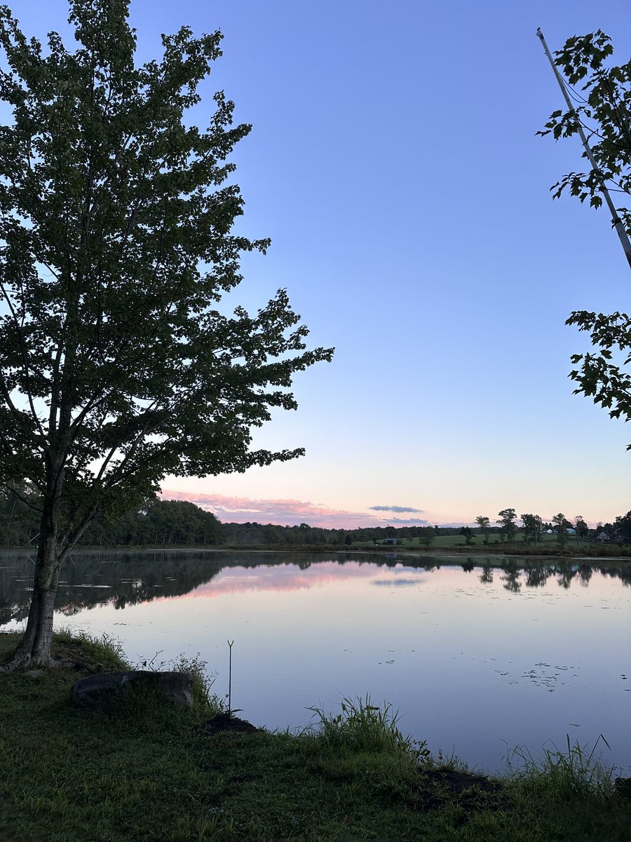 iamniccola's tweet photo. Sometimes you just need to see this beauty as a reminder…. 
#nature #reflection #simplicity https://t.co/z5YWruKhBA