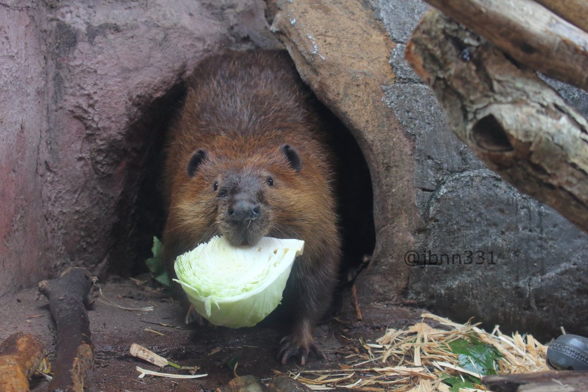 ナツメグmamaページです。 ナツメグmama様専用ページです。