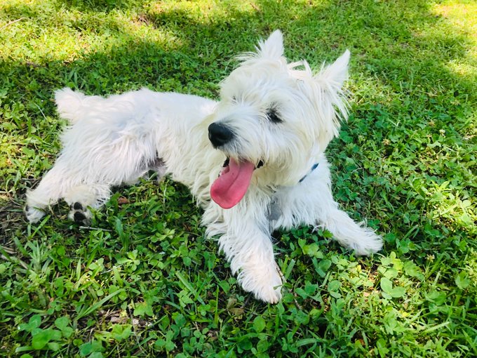 Casey K 🌻🦚🌈 XX tweet media