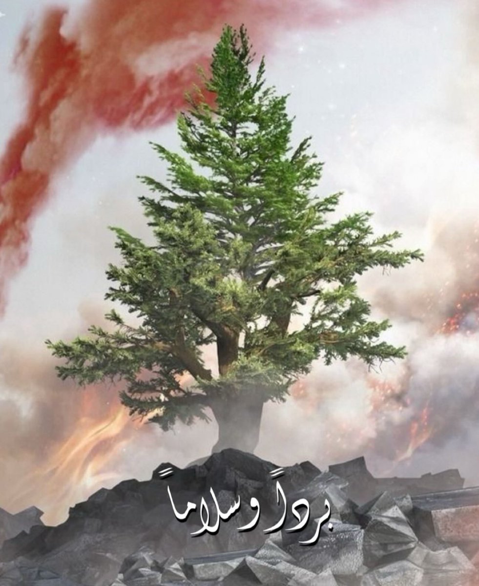 AliNajim's tweet photo. لبنان، يا وطن الجمال والصمود، يا أرض  الكرامة. في محنتك اليوم، نرسل لك دعوة مملوءة بالأمل والحب. ندعو الله أن يُسخّر لك القلوب الطيبة والأيدي المعطاءة، وأن يُلهم أهلك القوة والثبات في هذه الظروف الصعبة.

قلوبنا معك يا لبنان 🤍

رحم الله الشهداء 🇱🇧 https://t.co/QFwJSsgIKL