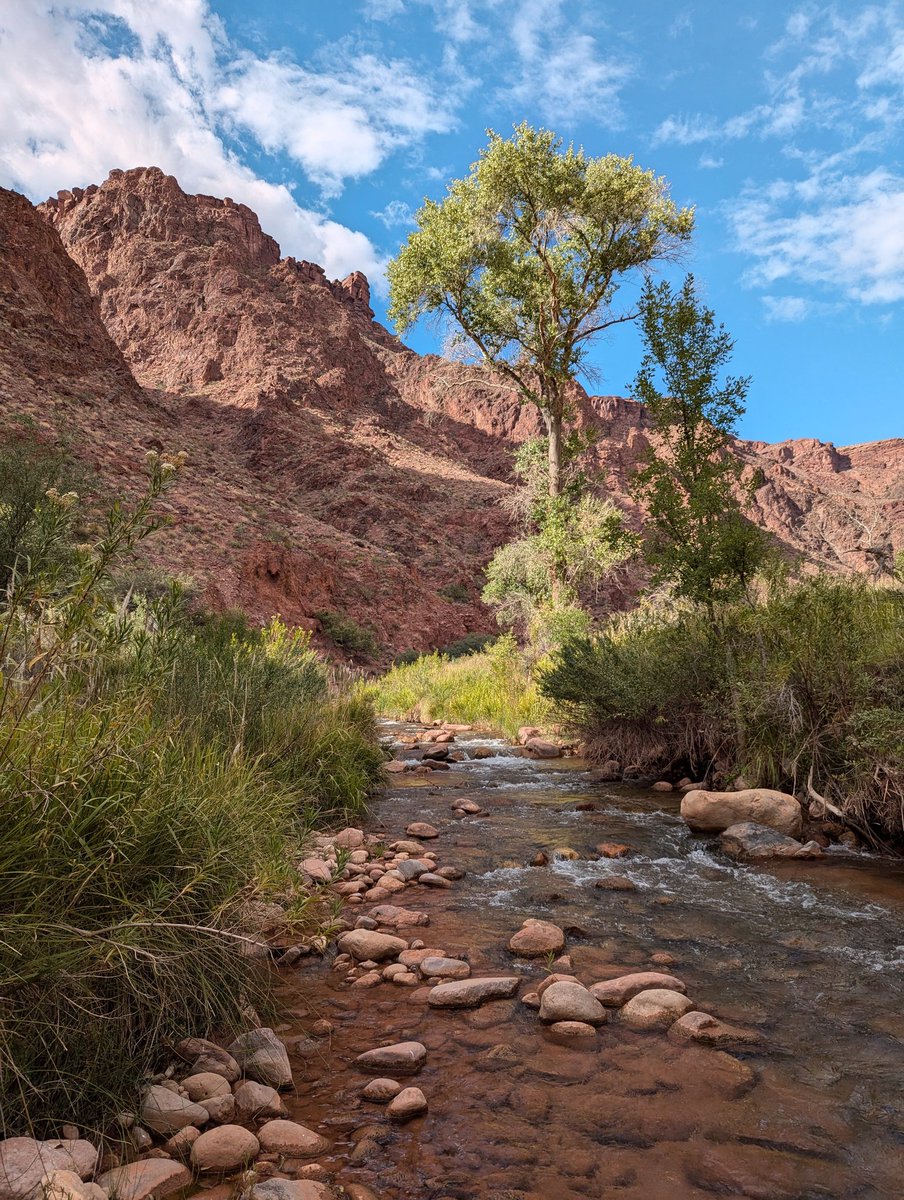 Bearnard tweet media