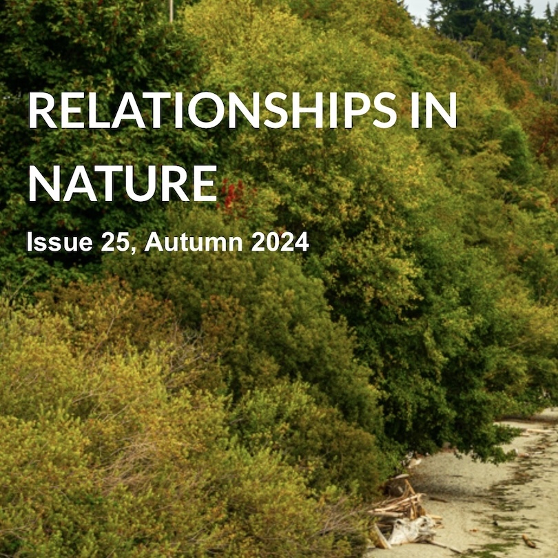SalishMagazine's tweet photo. Ecosystems are more than just creatures and things — to really see the story of what's going on in nature, knowing about the relationships is necessary: https://t.co/03EshEijNI
I hope you find that this look at nature opens some new doors of perception and understanding https://t.co/I3Qgz7u8P0