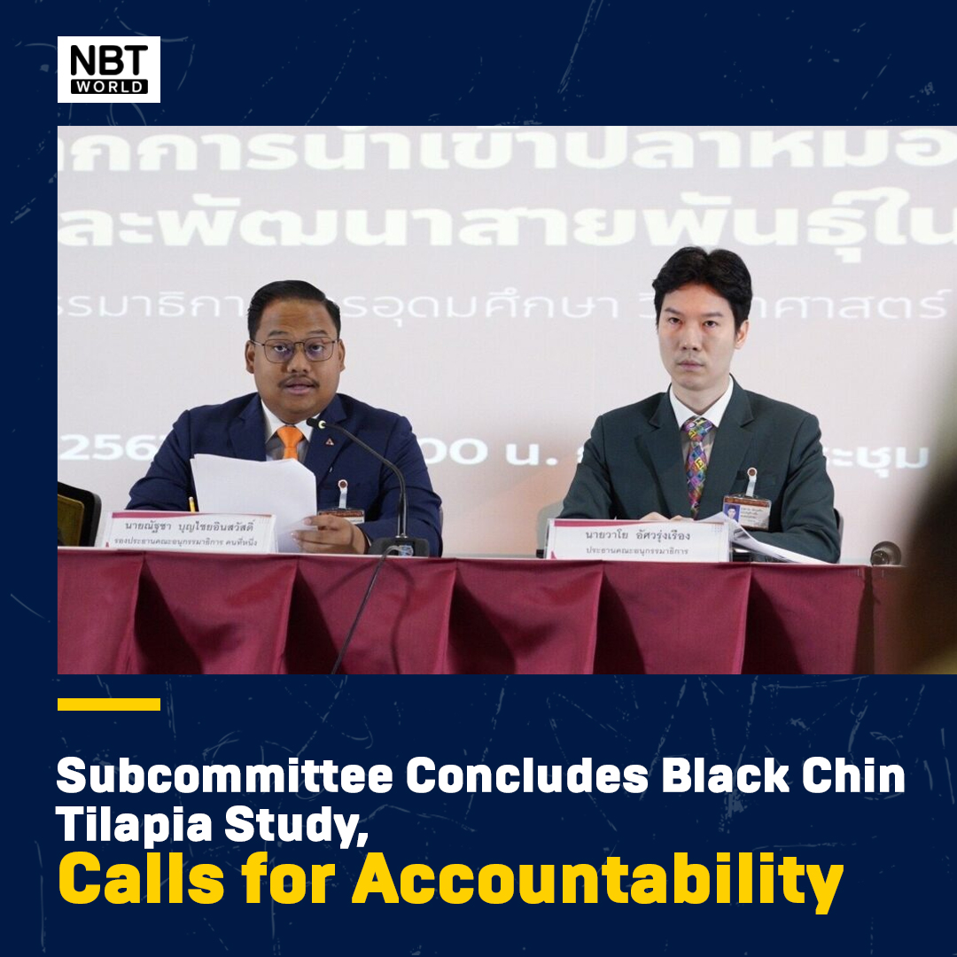 NBTWORLDNews's tweet image. The Subcommittee on the Study of the Black Chin Tilapia outbreak has concluded its research into the causes and impacts of the species' introduction and spread in Thailand.

See more: Facebook.com/nbtworld

#NNT #BlackChinTilapiaOutbreak #EnvironmentalAccountability #NBTWorld