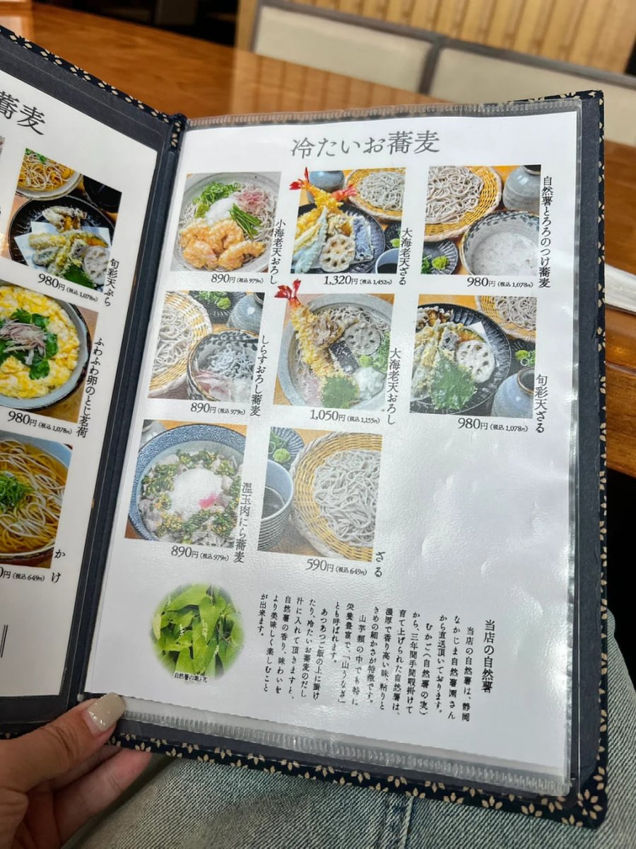 Jadiecsemp's tweet image. 老舗のお蕎麦屋さんにやって来ました！色々な味のそばが食べられますが、とても美味しいですよ！