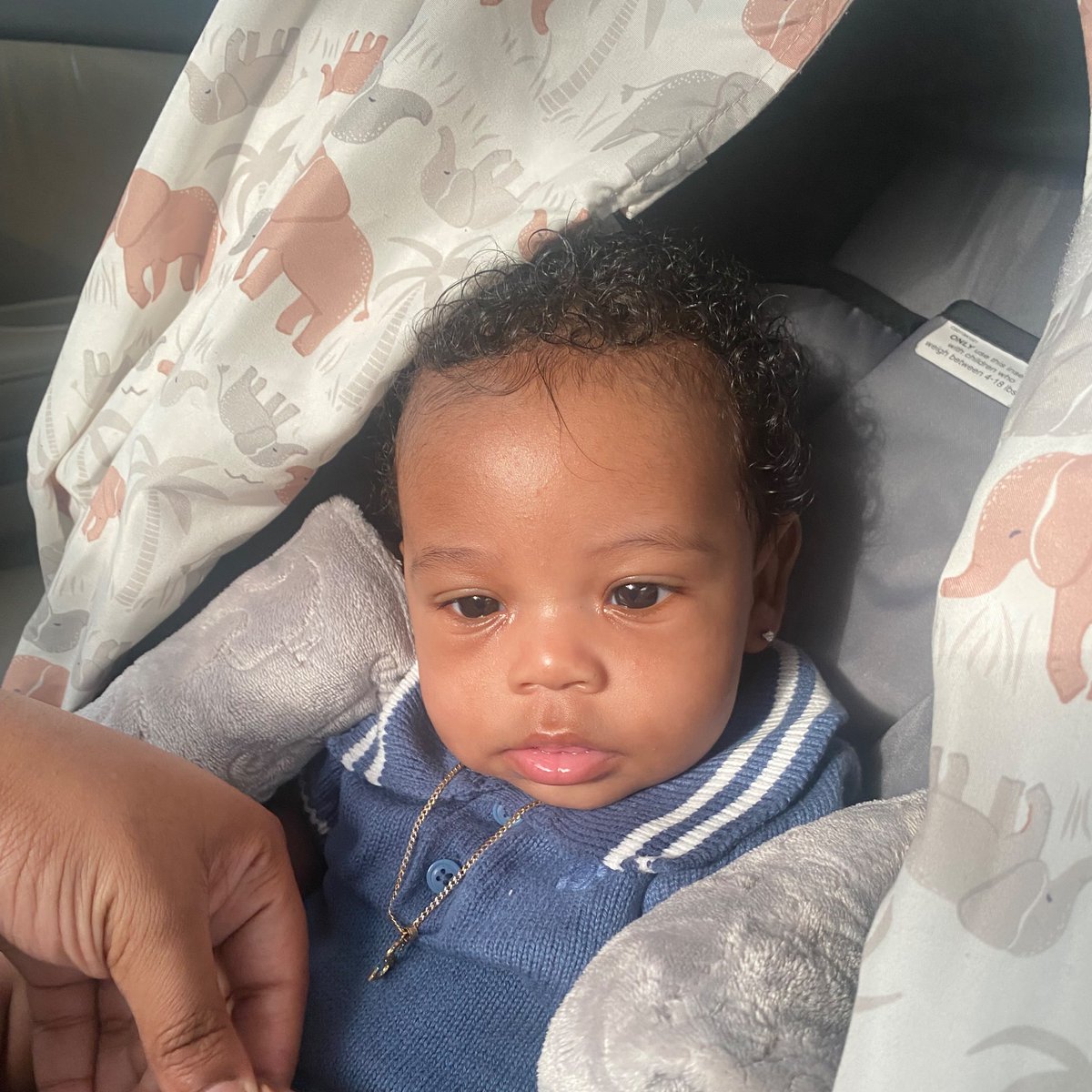 monejaaaa's tweet photo. happy 3 months to my baby bear🩵. https://t.co/RGTe2eGIn6
