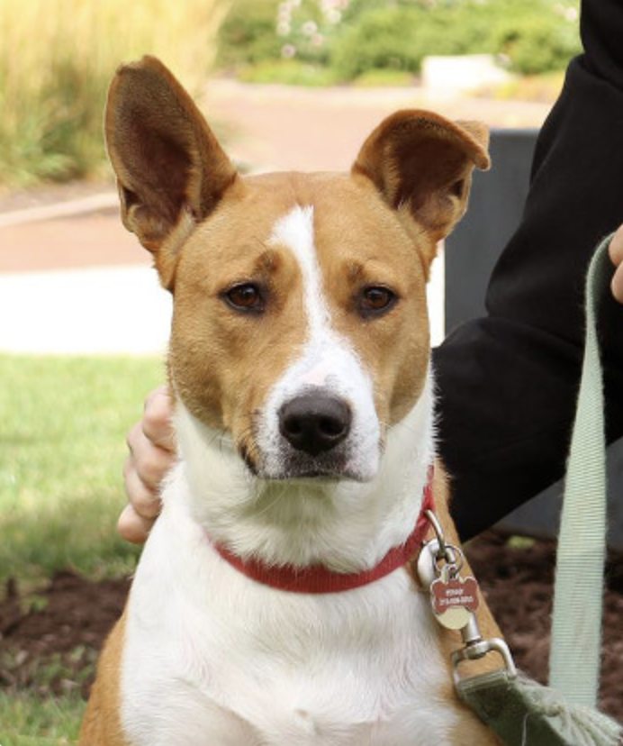 Benjamin Zinszer tweet media