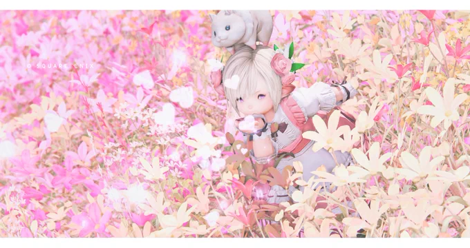 キノくんが久々に14戻ってきてくれたので一緒にルレいったりSS撮ったりした!グラフィックアップデートで可愛さ増し増しか?#FF14 