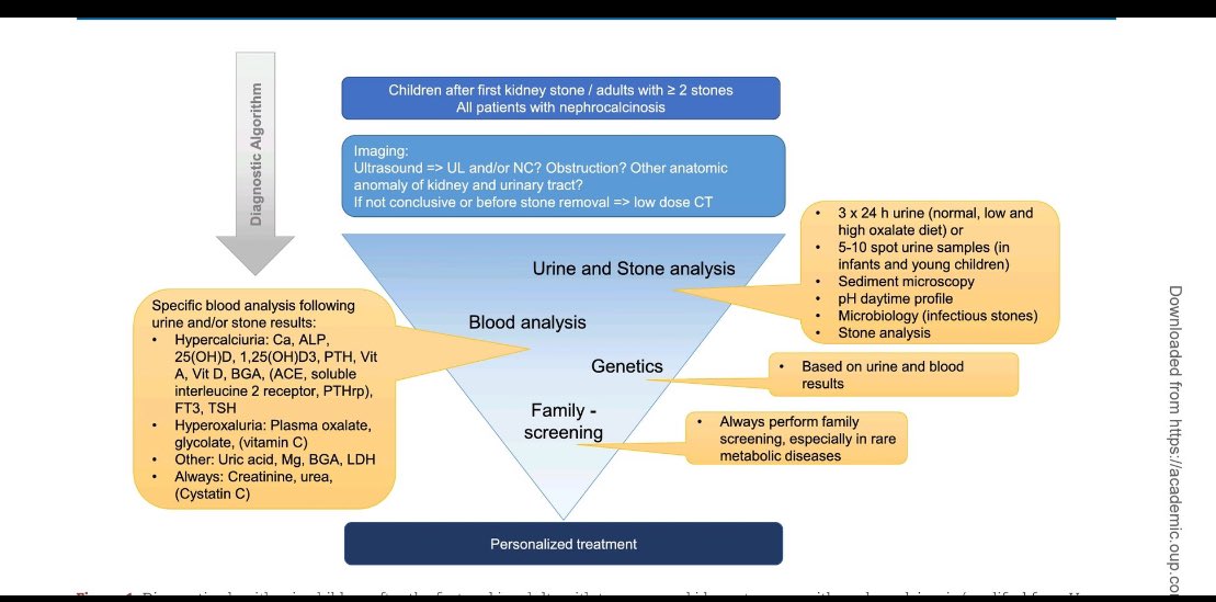 JasmineNephro's tweet photo. 🫘💎Approach to Kidney Stones

https://t.co/AGfGibvOog

@NDTsocial @hjanders_hans https://t.co/NMTLA6qrA5