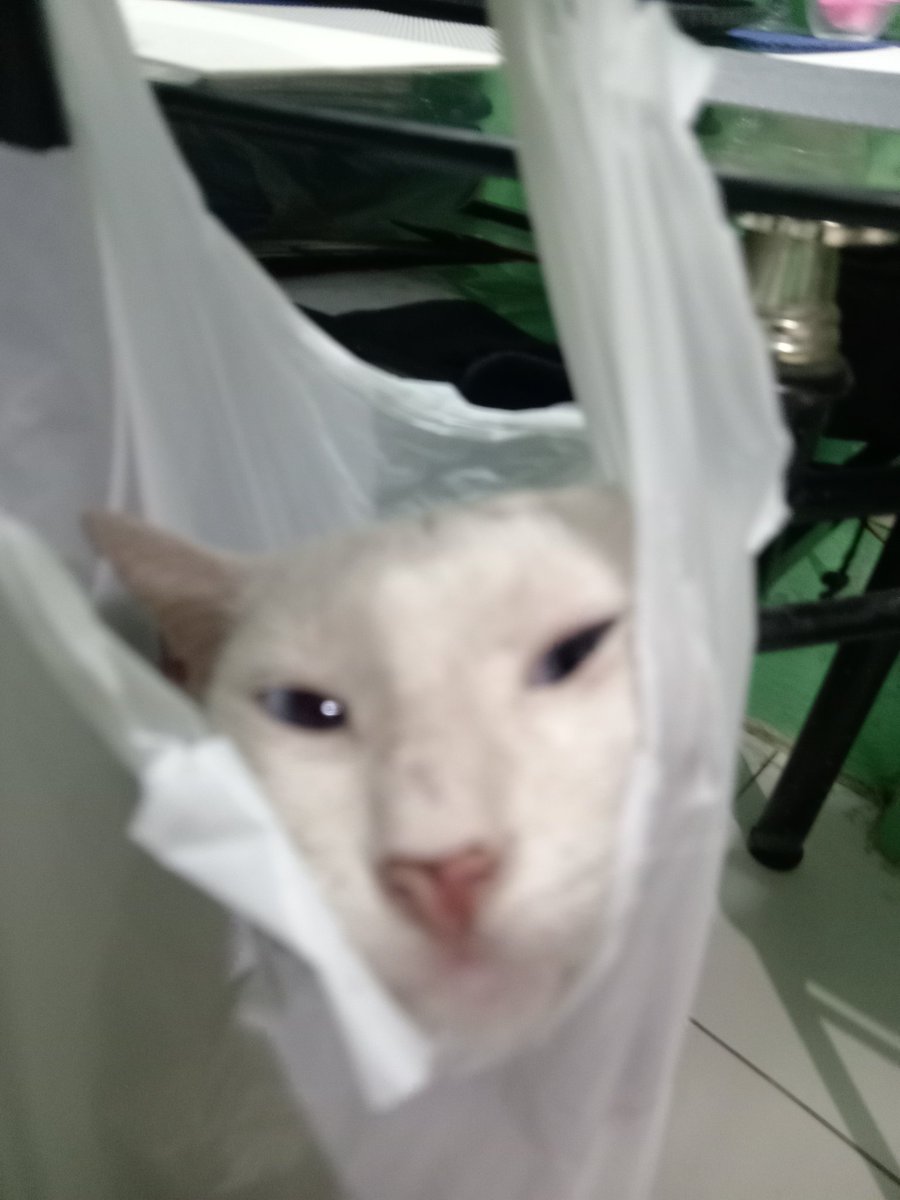 ccatzie's tweet photo. bagged https://t.co/AeYetJbPRP