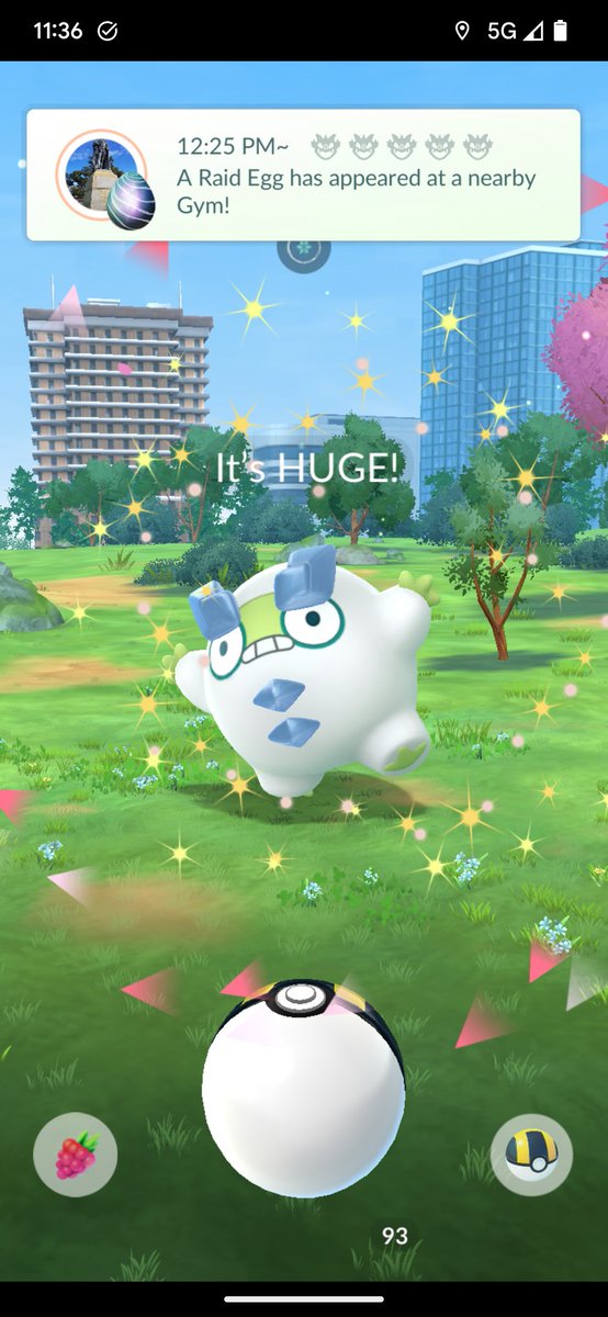 ZenSpider145's tweet photo. Best way to start an event 🥳

#PokemonGOApp #ShinyPokemon #XXLShiny https://t.co/XwL39yIrFY