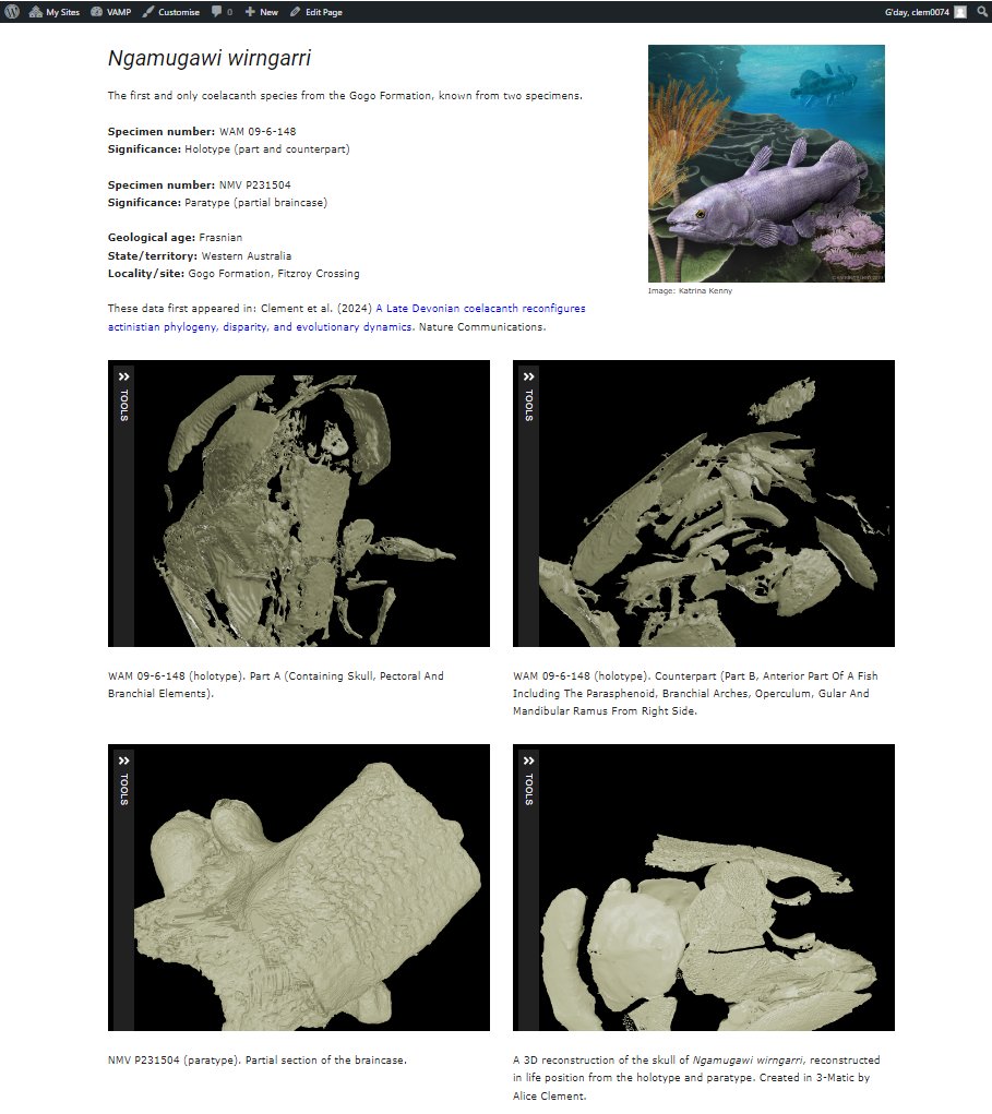 Dr Alice C loves lungfish (she/her) (@draliceclement) on Twitter photo Explore our lovely little #fossil #coelacanth fish, Ngamugawi in 3D via <a href="/VAMP_Palaeo/">VAMP_Palaeo</a> at: sites.flinders.edu.au/vamp/fossils/v… Explore our lovely little #fossil #coelacanth fish, Ngamugawi in 3D via <a href="/VAMP_Palaeo/">VAMP_Palaeo</a> at: sites.flinders.edu.au/vamp/fossils/v…