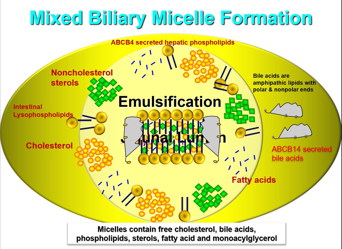 Thomas Dayspring tweet media
