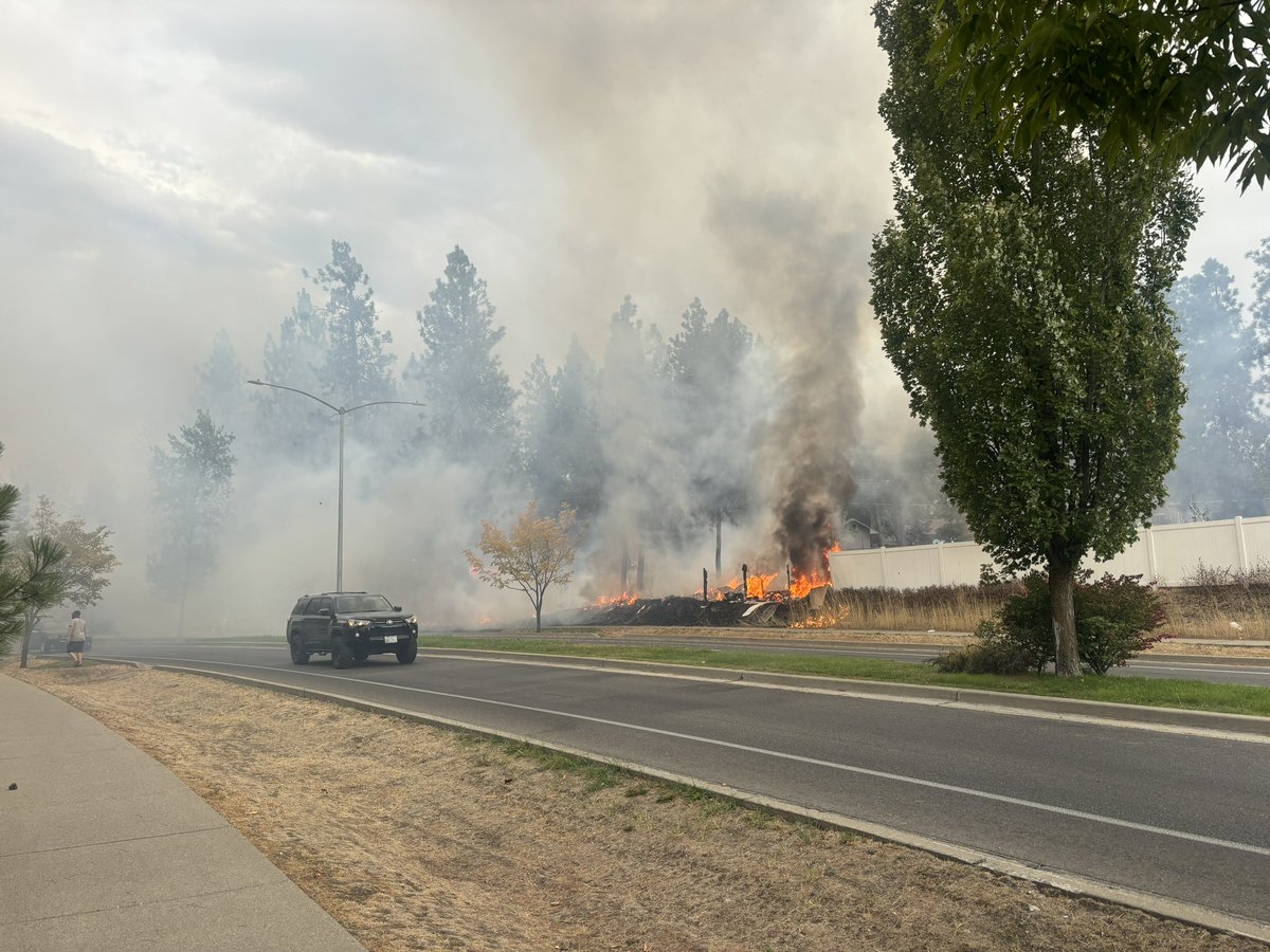 Aodhan Brown tweet media