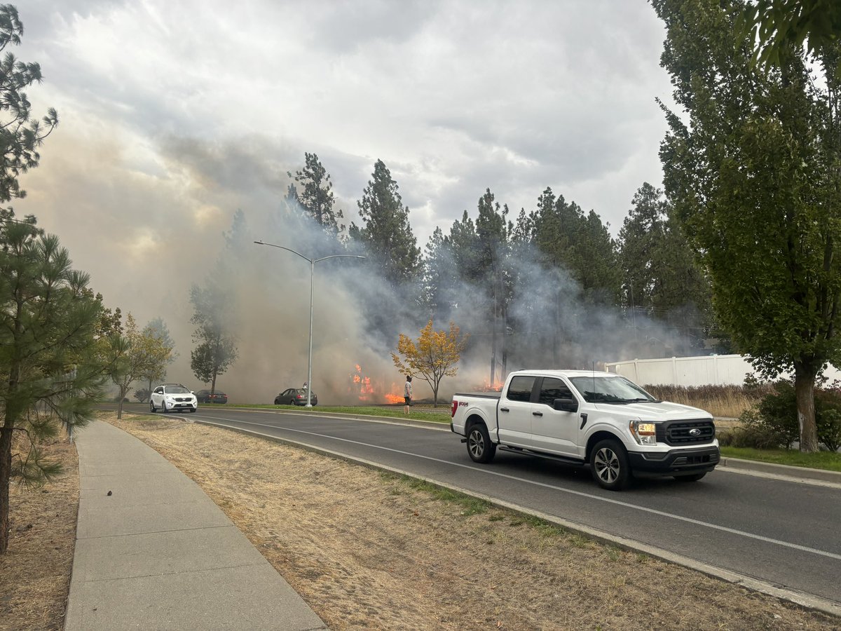 Aodhan Brown tweet media