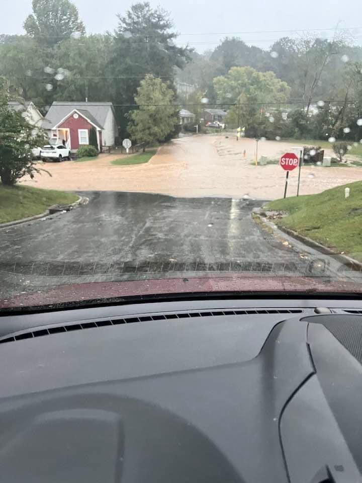 magicaldaisy007 tweet media