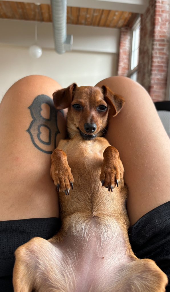 Leb_Zeppelins's tweet photo. We have been a little behind on Ween Wednesday. But we are back. #WeenWednesday https://t.co/tymSrzxViC