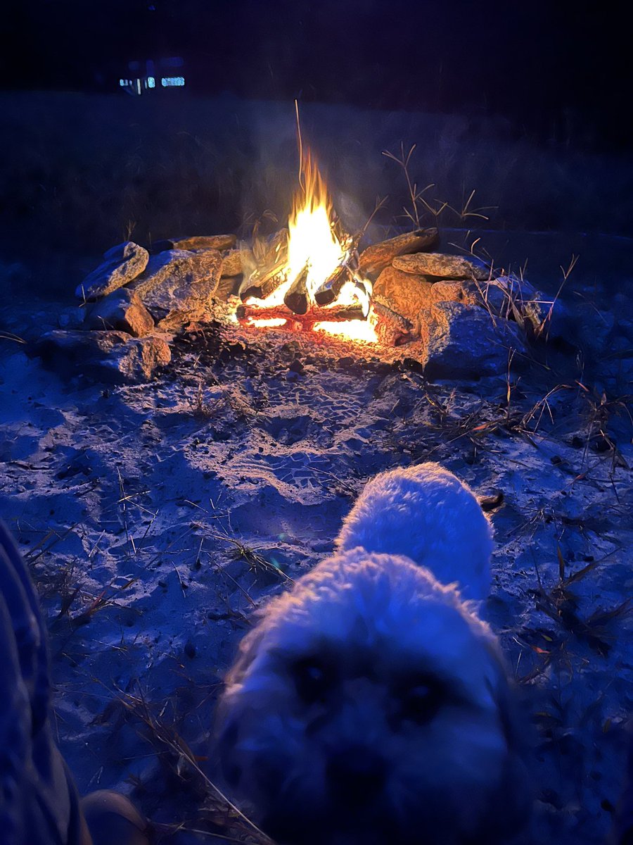 ToadYem's tweet image. Current situation