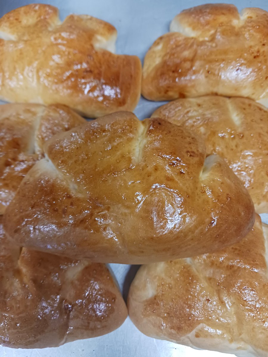 coffeecanueda's tweet photo. おはようございます☕
ちょ！こ、これは？！パンを食べても、やぶさかではない気温ではありませんか？！
手作りカスタードが奇跡の配合で、げらい美味しい😋
パン屋さんのスタンダード。
〔クリームパン　130円🤪〕 https://t.co/PTpicEc2S7