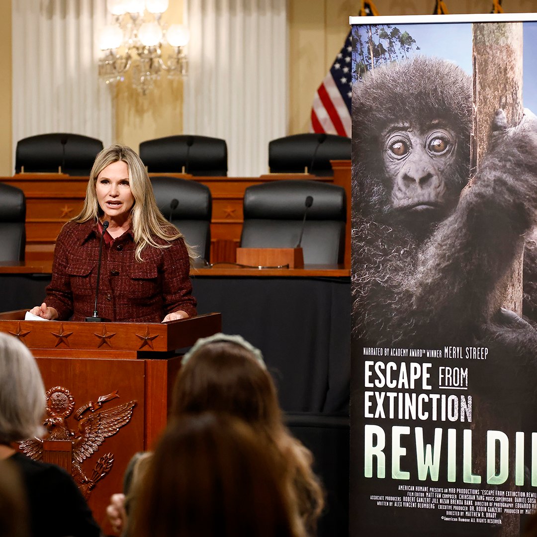 Escape From Extinction tweet media