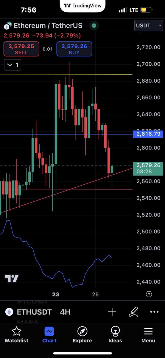 🚨Will it sink or will it float?!?🚨