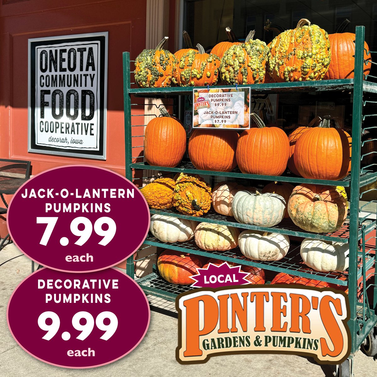 oneotacoop's tweet image. Get your Great Pumpkin at the Co-op - @pintersindecorah #localpumpkins #oneotacoop #foodcoop #decorah #communityowned