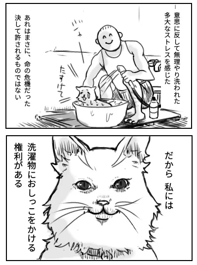 猫さんはこう思いました 