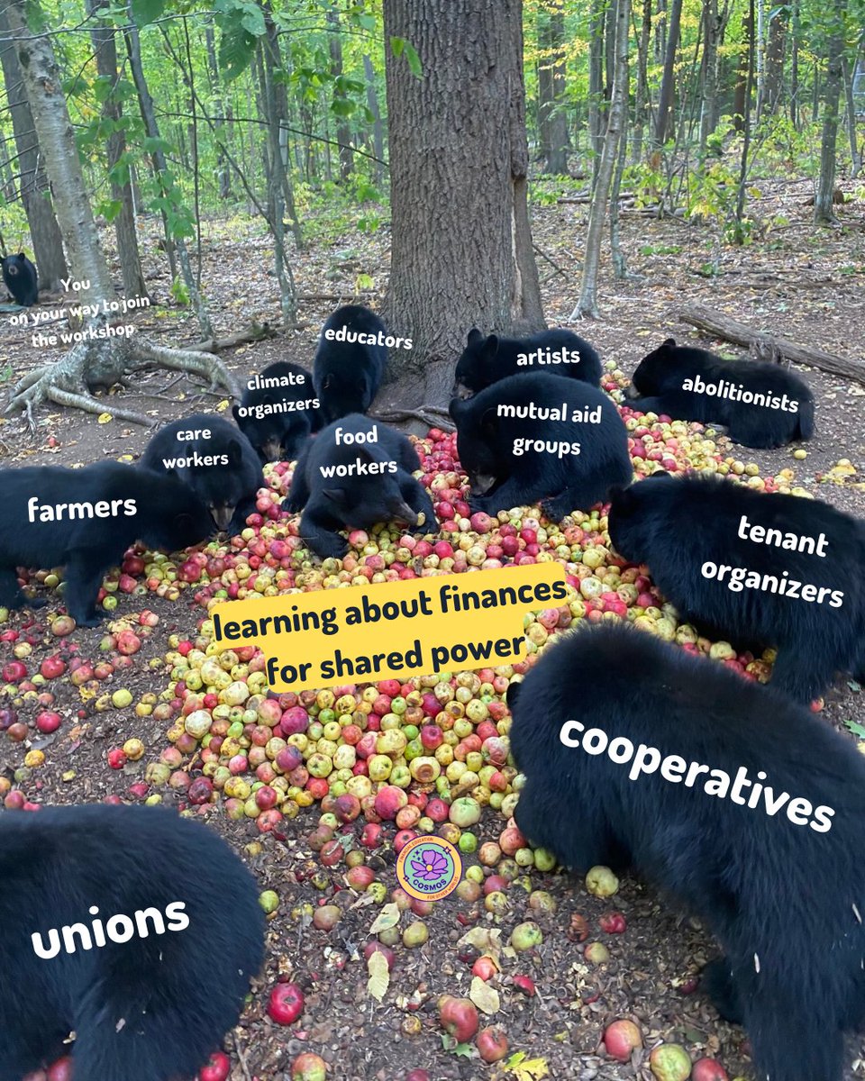 Want to build your skills for collective resource management? Part of a coop, union, business, nonprofit, or other project and interested in shared power around finances?
🍏Sign up for Cosmos workshops
🍎Share with a friend 
bookkeeping.coop/events/