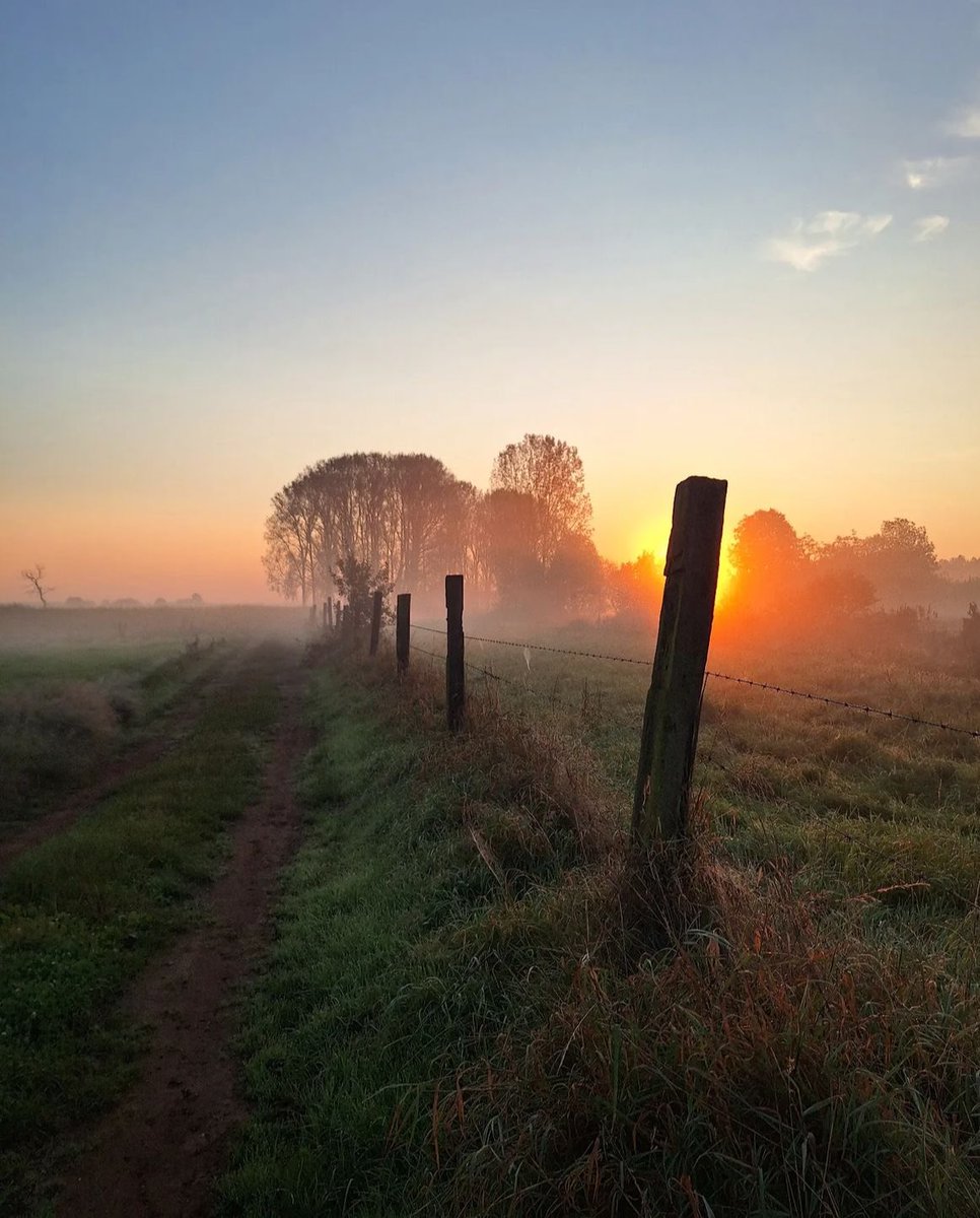deepsoulnature's tweet photo. Lost in the haze of a blissful foggy morning.

Good Morning 𝕏 Family 🍃♥️ https://t.co/qIQ4mLwm9r