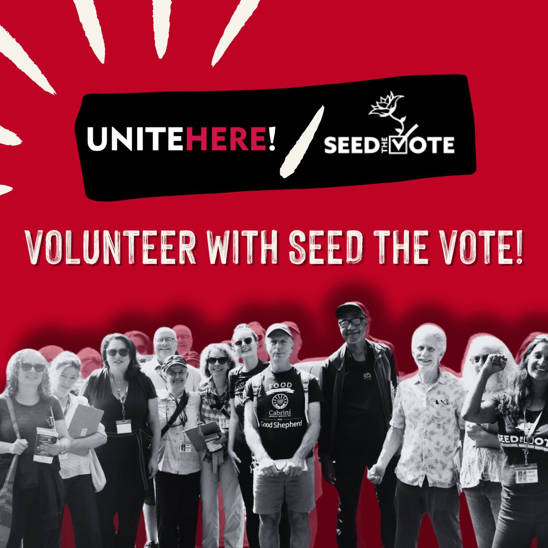 We are making History!  If you have co-workers, friends, family or activists who want to knock on doors but can’t do it full time, volunteer with <a href="/seed_the_vote/">Seed The Vote</a>! 

seedthevote.org/get-involved/