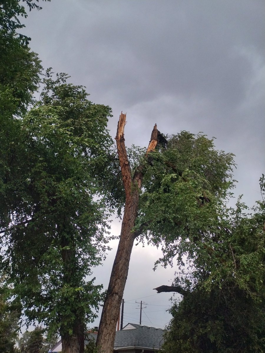 Thomas Neel tweet media