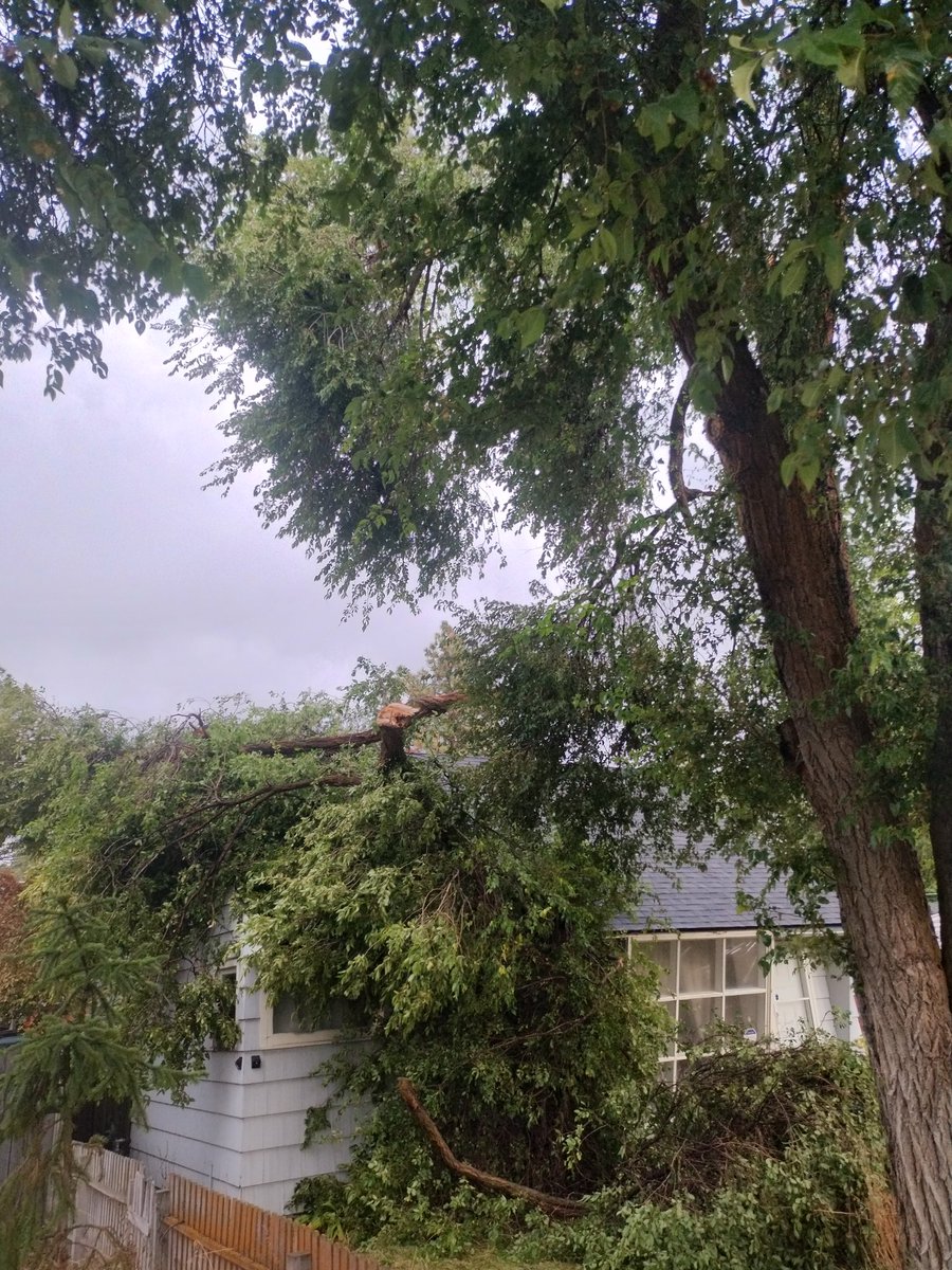 Thomas Neel tweet media