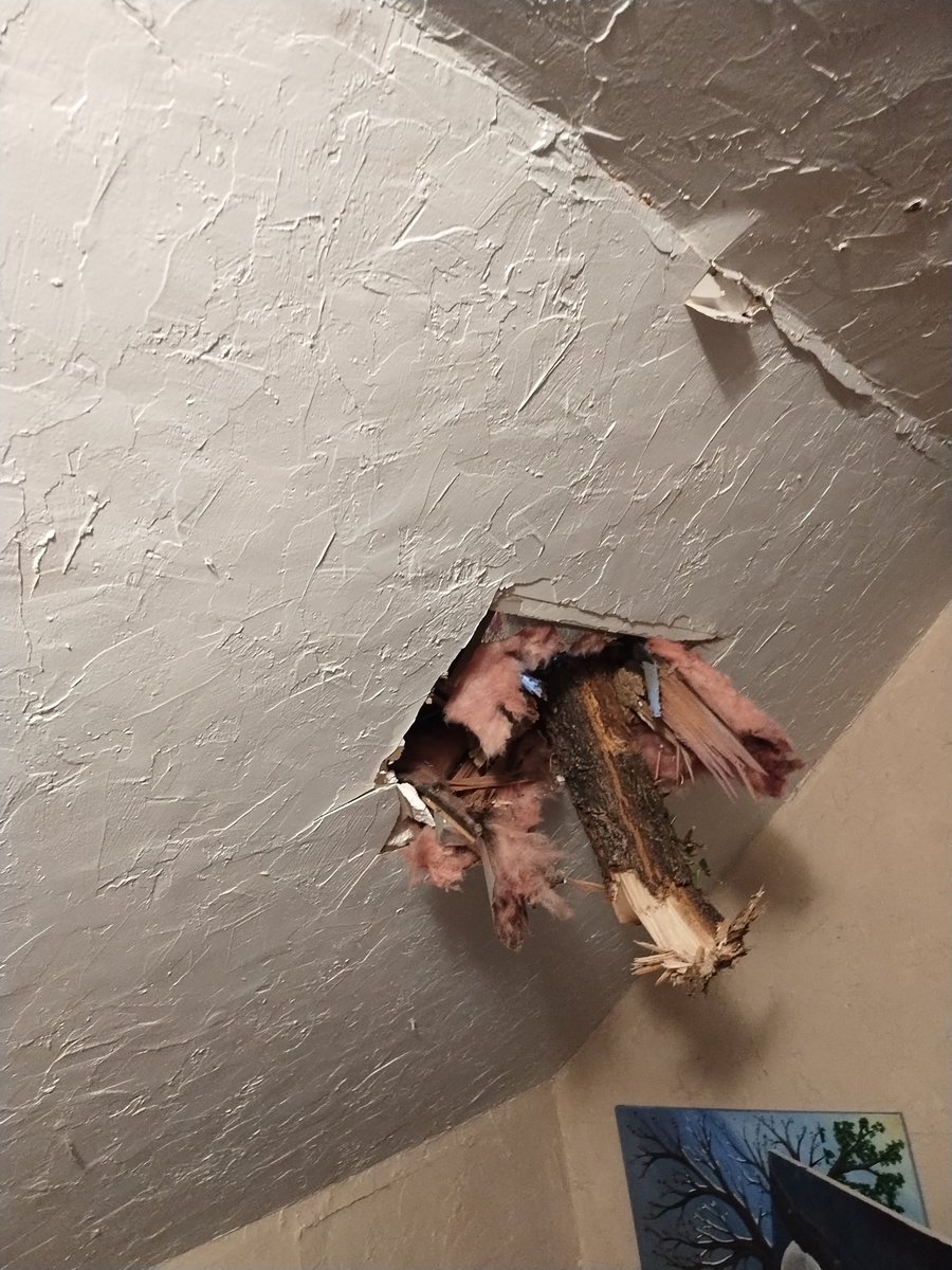 Thomas Neel tweet media