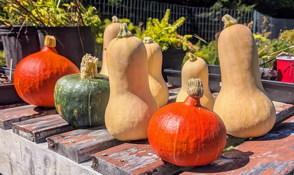 Congratulations to all the pitchers tonight,  and the winner : WE FEED LUNENBURG -- a local food pantry -- and their pitch to purchase a refrigerator for perishable items!!!
