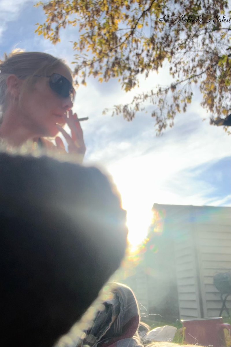 sativasoles1's tweet photo. 🌞Enjoyin the last of the 30C heat~’Dog daze’🌞 #DogDaze #SeptemberHeat #FuzzySocks #StonerFam #BlanketPuffs😮💨 #ILoveTheSun #ImaMakeYouSmile🌞 https://t.co/auzmQAyELP