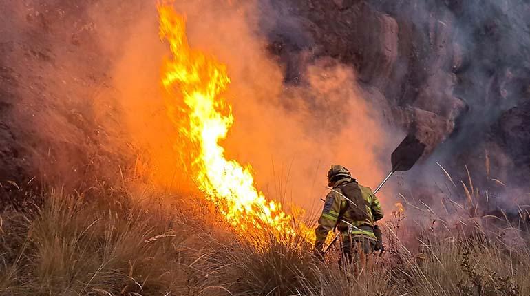 Periódico La Patria (Bolivia) (@lapatriadigital) on Twitter photo Juan Luis Martín, uno de los líderes del equipo FAST que llegó a Bolivia este fin de semana, ha alertado sobre la falta de recursos para combatir los incendios que devastan el país. Lee la nota aquí: nota.bo/K6l4VM
#Bolivia #MedioAmbiente Juan Luis Martín, uno de los líderes del equipo FAST que llegó a Bolivia este fin de semana, ha alertado sobre la falta de recursos para combatir los incendios que devastan el país. Lee la nota aquí: nota.bo/K6l4VM
#Bolivia #MedioAmbiente