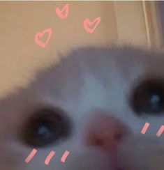 can someone PLEASEEEEE give me a Waymo referral code