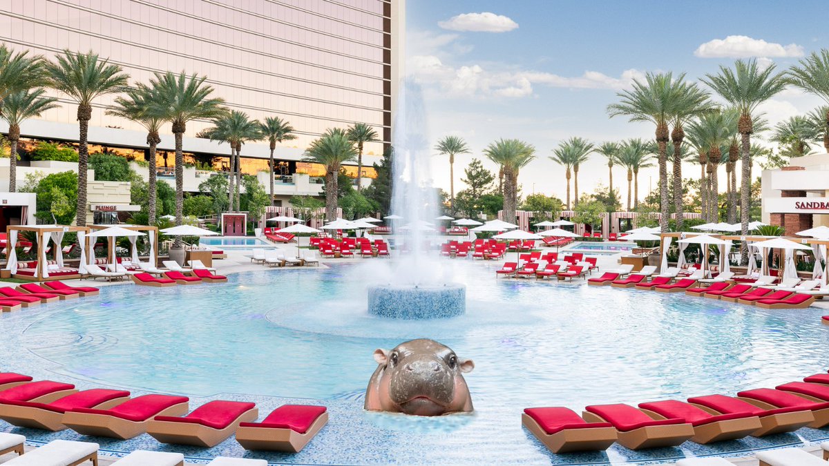 Station Casinos tweet media