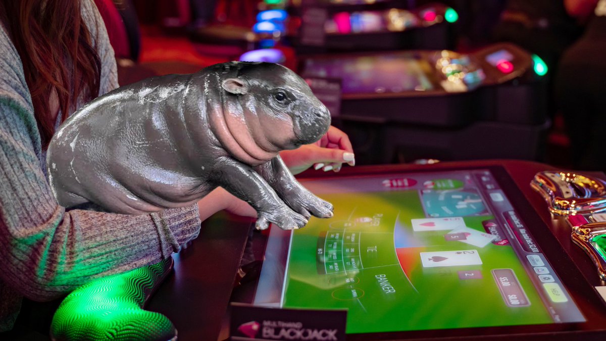 Station Casinos tweet media