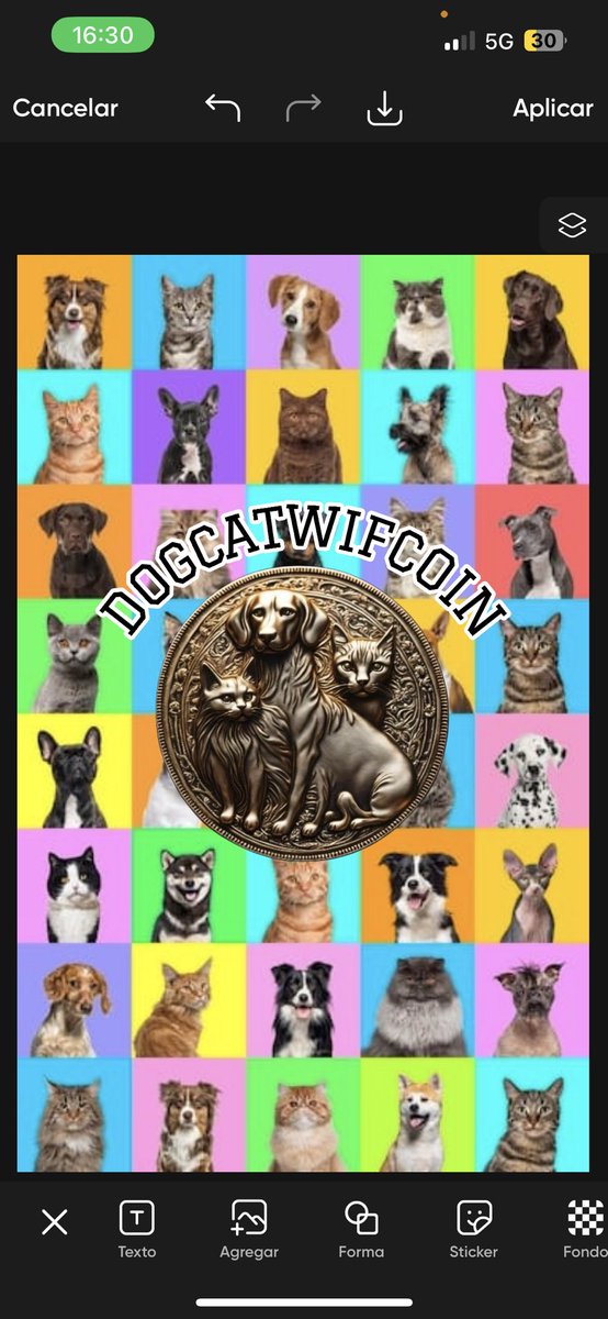 DogCatWifCoin's tweet photo. @tottalmeme @ZygoFrog @pumpdotfun https://t.co/5qfNcQBly4