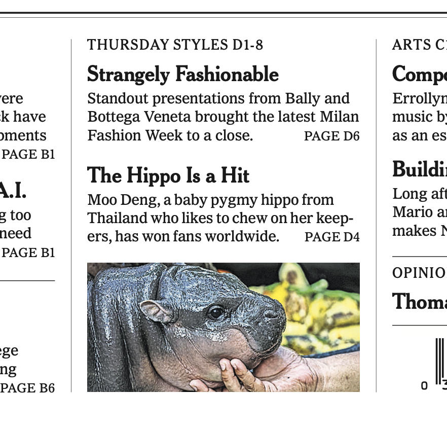 Moo Deng is on tomorrow's <a href="/nytimes/">The New York Times</a> front page <3