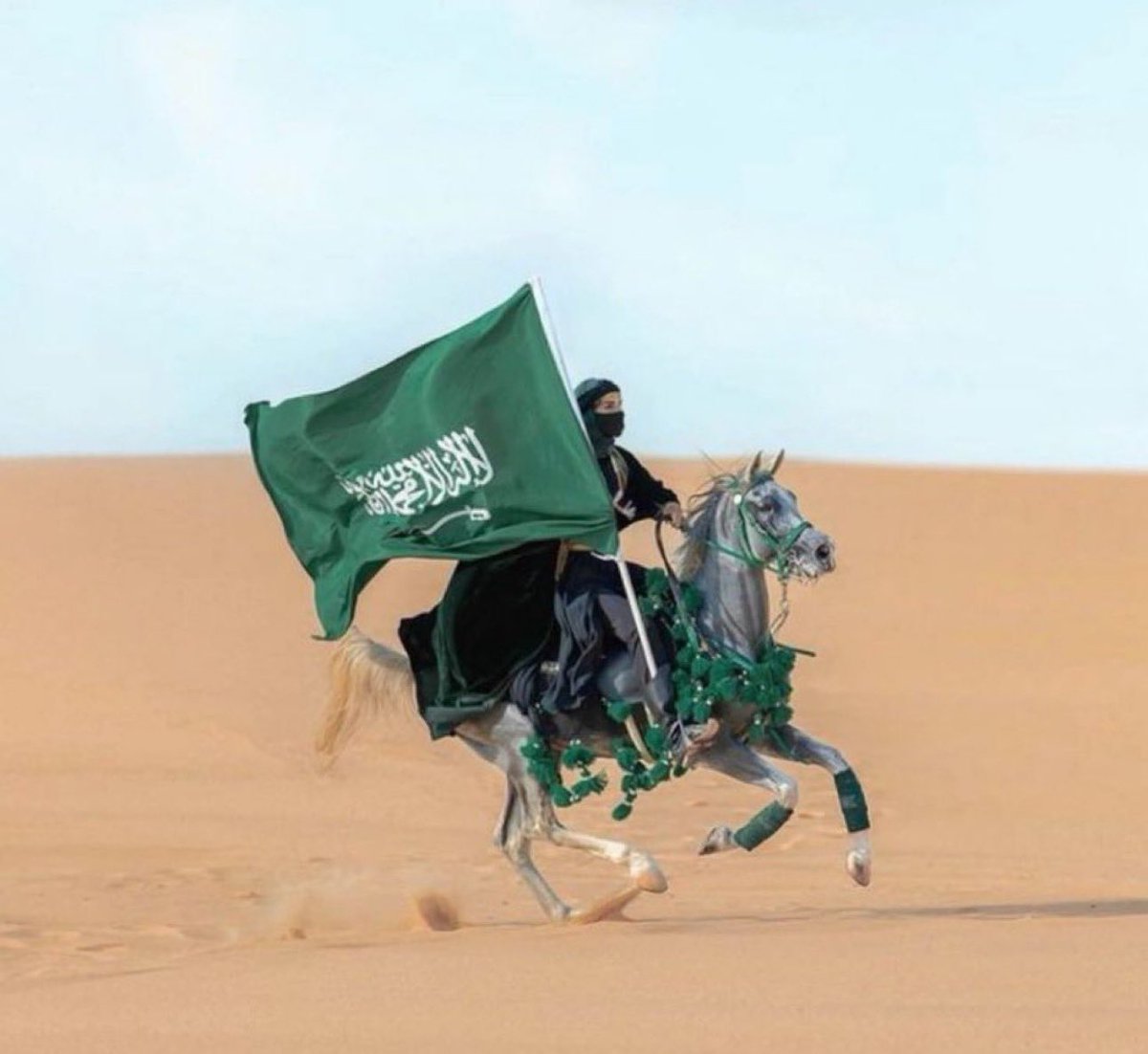 سعيد بن سعد بن سفران 🇸🇦 tweet media