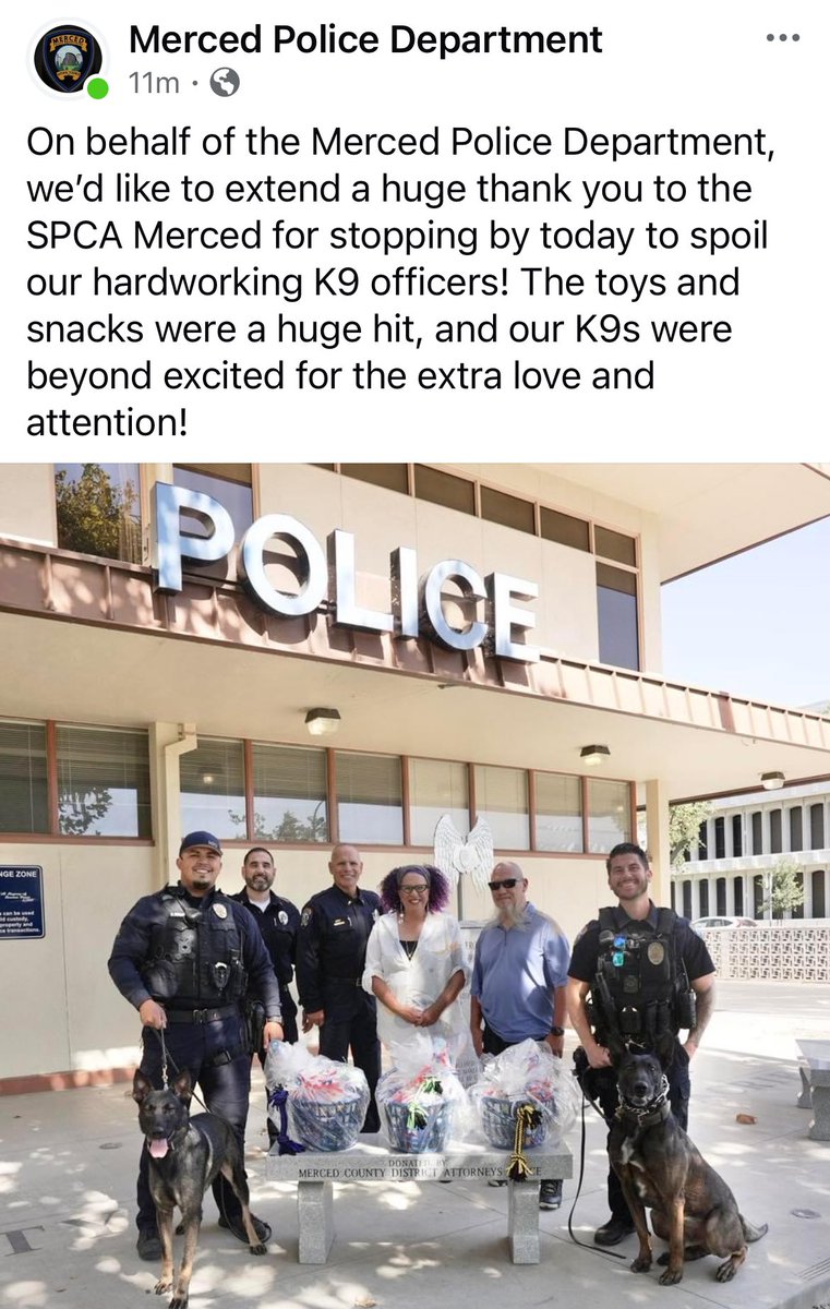 MercedSpca's tweet image. 