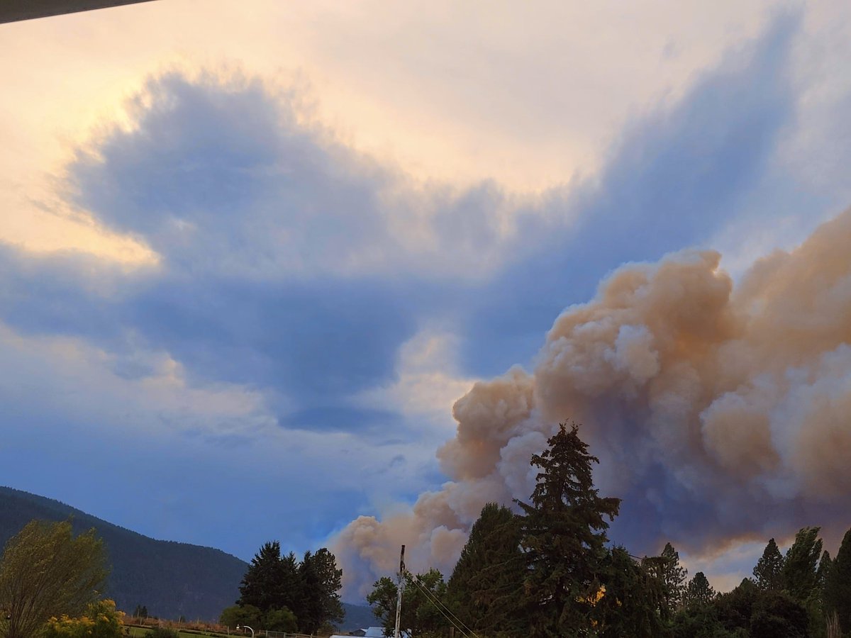 BC Wildfire Service (@bcgovfireinfo) on Twitter photo We are currently deploying crews and structure protection resources to the #GrandForksBC area in advance of the Goosmus (N62564) wildfire. This wildfire was discovered in the United States on Sept. 25 and is currently estimated to be 200 hectares in size. We are currently deploying crews and structure protection resources to the #GrandForksBC area in advance of the Goosmus (N62564) wildfire. This wildfire was discovered in the United States on Sept. 25 and is currently estimated to be 200 hectares in size.